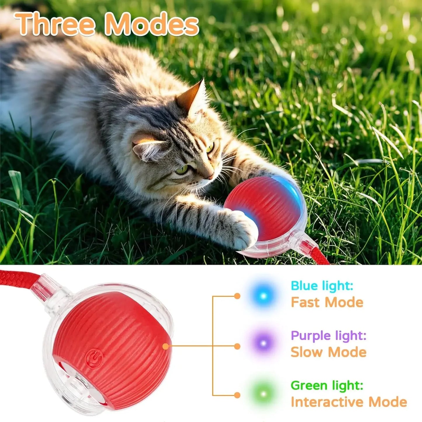 RolloChase - Smart Cat Interactive Ball