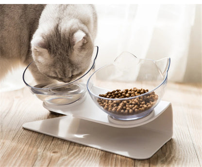 GastroGuard: Anti-Vomiting Orthopedic Cat Bowl