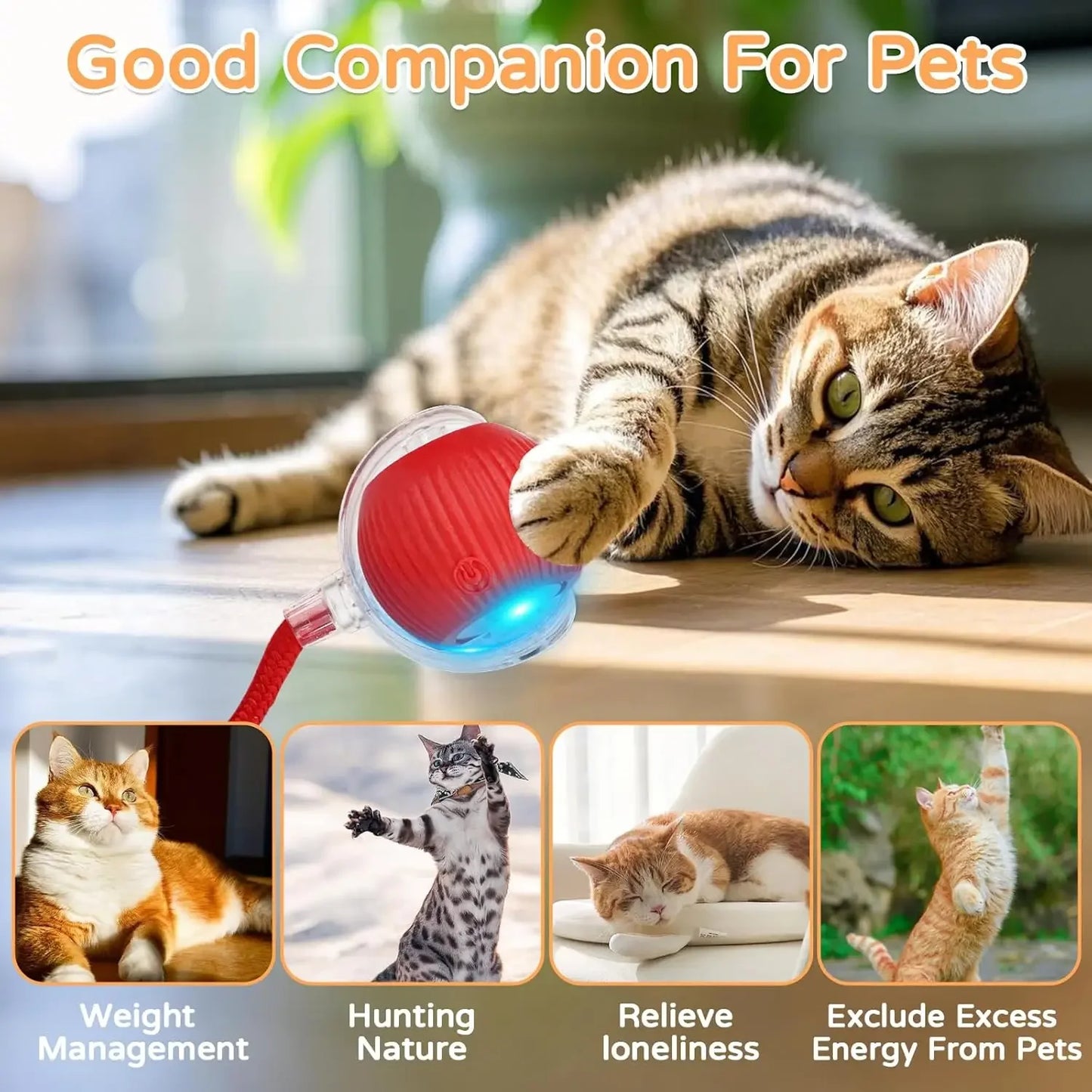 RolloChase - Smart Cat Interactive Ball