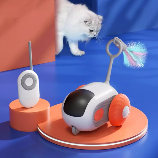 Robo-Mite Smart Chase Car