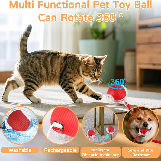 RolloChase - Smart Cat Interactive Ball